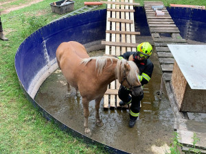 Koně vytáhl z bazénu na Náchodsku jeřáb