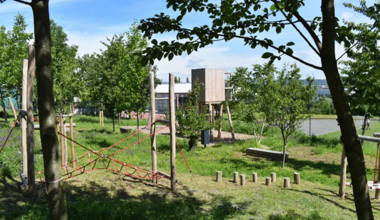 Na Kraví hoře místo zanedbaných zahrádek vyrostl nový park s dětským hřištěm. Vše, co tam roste, je jedlé