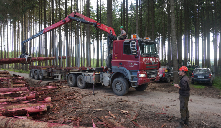 Přívalové deště nadělaly Lesům ČR za poslední měsíc škody skoro osmdesát milionů