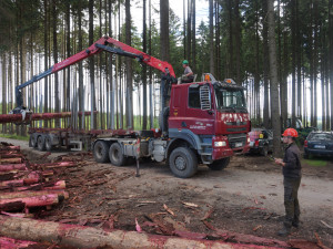 Přívalové deště nadělaly Lesům ČR za poslední měsíc škody skoro osmdesát milionů