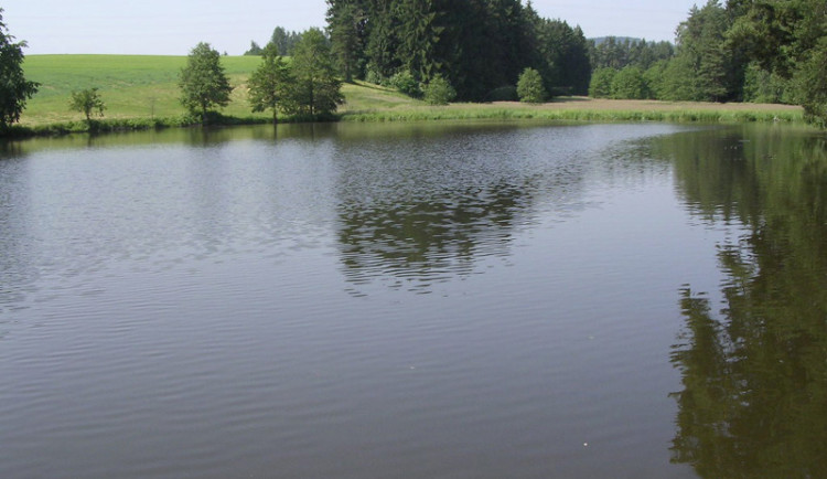 Hygienici vydali kvůli sinicím zákaz koupání v rybníce Ředkovec