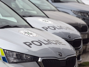 Policie navrhla obžalovat čtveřici mužů z podílu na vraždě muže z Hradce Králové