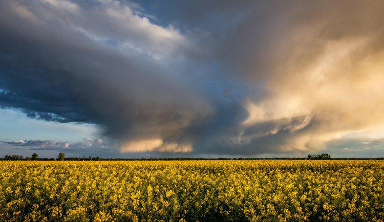 Meteorologové varují před silnými bouřkami a přívalovým deštěm. Výstraha dnes platí pro celý kraj