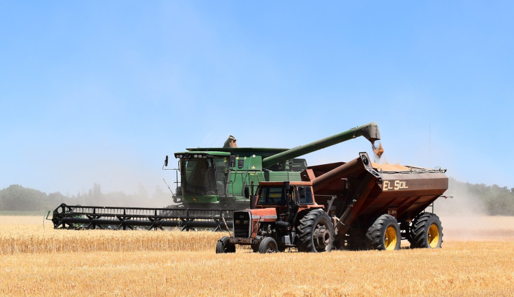 Žně v hradeckém kraji zbrzdily deště. Sklizeno je zatím jen šest procent ploch