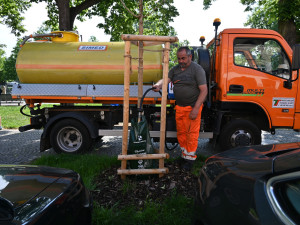 Hradec Králové pořídil nové vaky na zavlažování stromů. Použil peníze re-use projektu
