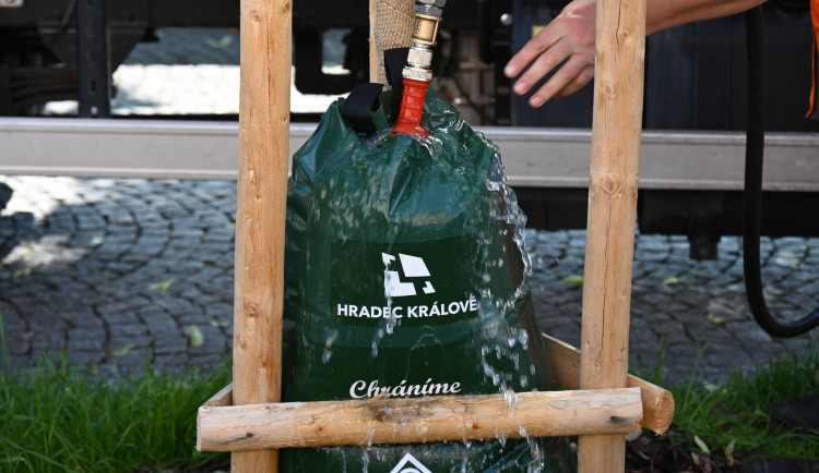 Hradec Králové pořídil nové vaky na zavlažování stromů. Použil peníze re-use projektu