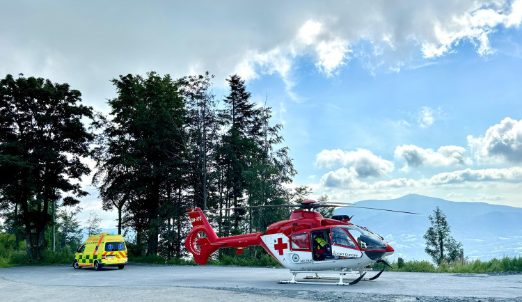 Záchranáři ošetřovali muže ve vážném stavu po pobodání sršněm