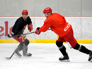 Hokejisté Hradce Králové se začali připravovat na ledě bez zraněného Klímy