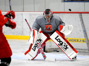 Hokejisté Hradce Králové se začali připravovat na ledě bez zraněného Klímy