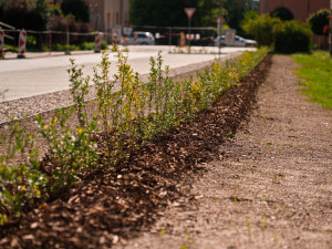 Zborovská ulice v Hořicích má nový povrch i parkovací místa
