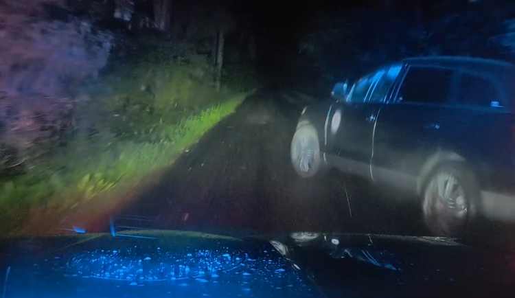 VIDEO: Řidič s téměř třemi promile unikal policistům přes pole a louky