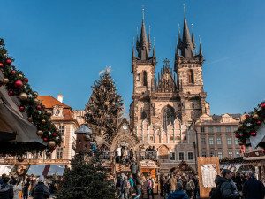 Vánoční strom pro Staromák může růst i v Královéhradeckém kraji