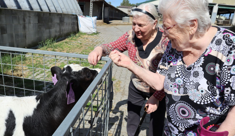 Terapie vzpomínkami. V Ostravě pomáhají seniorům prostřednictvím minulých zážitků