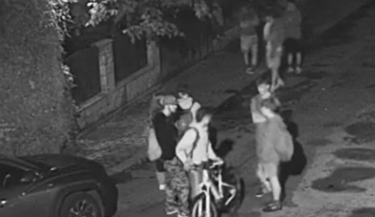 Snímek obrazovky 2024-08-14 110429