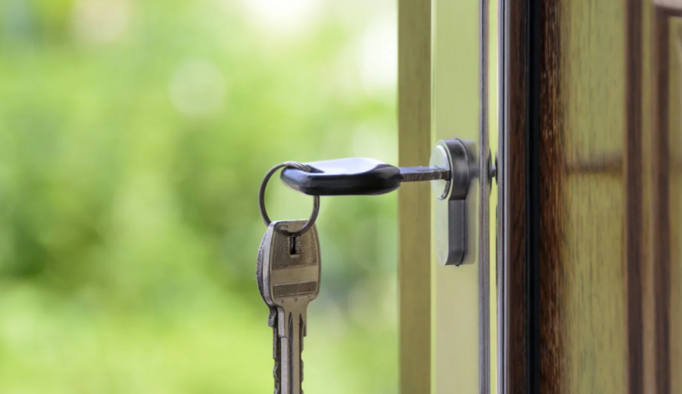 size4-17242407530372-303-jak-sehnat-pronajem-bytu-se-psem-5-uzitecnych-tipu