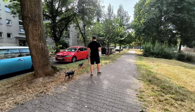 Sekat či nesekat? Názory obyvatel se rozcházejí, obvod proto vyhlásil anketu