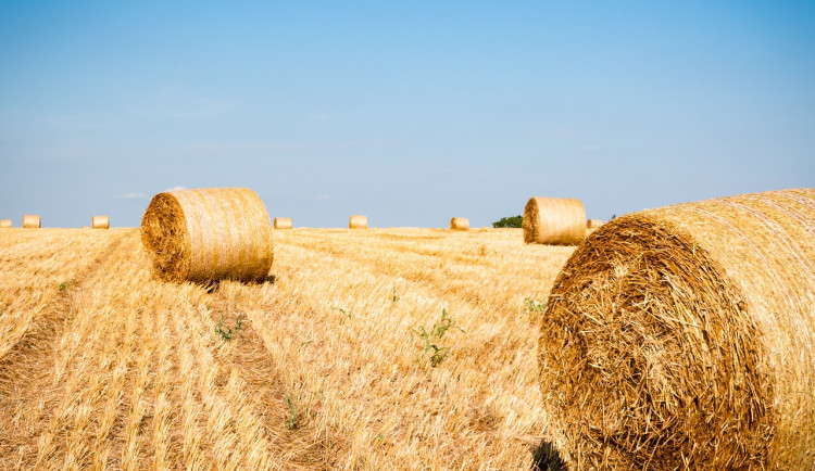Létu ještě definitivně neodzvonilo. V hradeckém kraji nás čeká proměnlivé počasí
