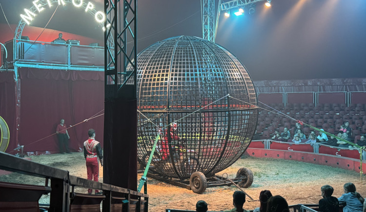 Ve Hradci Králové se objevil cirkus se třísetletou tradicí. Poprvé v historii