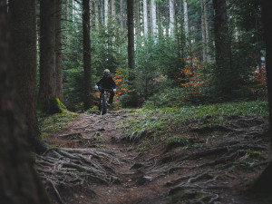 Nové adrenalinové vyžití nad Dvorem Králové: Otevření Červeného trailu!