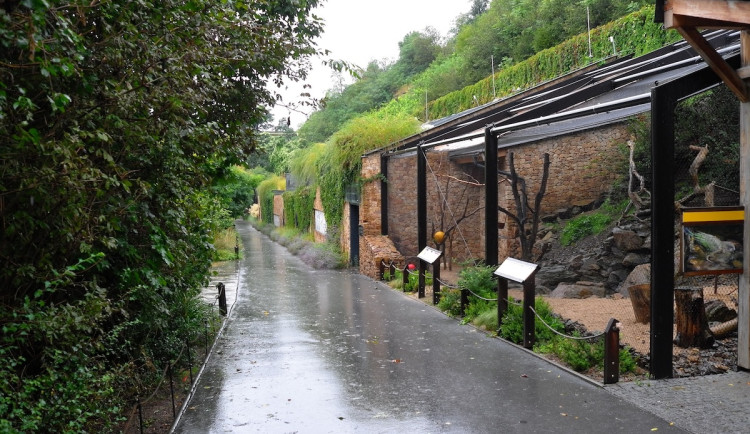 Zoo i botanická zahrada zůstávají kvůli nebezpečí zavřené