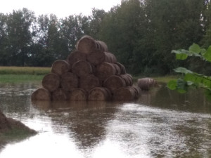 V hradeckém kraji platí osm třetích povodňových stupňů. 25 tisíc domácností je bez proudu