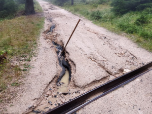 Národní park počítá škody po povodních. Zničená je třetina dřeva, která se měla letos vytěžit