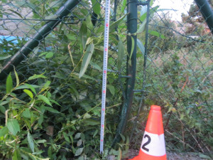 V Miletíně boural řidič s dvojkou v žíle. Z místa se pokusil ujet