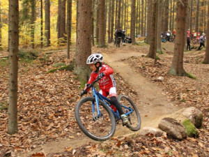 Dvůr Králové nad Labem za chvíli otevře červený trail pro bikery