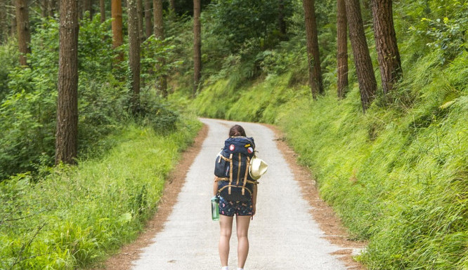 tourist-4400871_1280