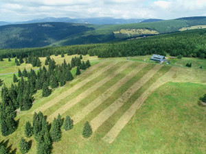 Krkonošské stráně teď připomínají fotbalová hřiště