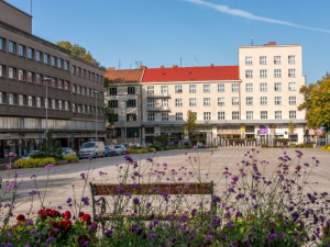 Hradec Králové chce nechat přebudovat Ulrichovo náměstí na základě návrhů studentů