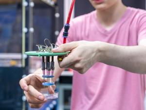 Nový TECH talent roku Tomáš Čermák sbírá ocenění i ve světě. Fyzika je jeho životem. Foto Jana Plavec