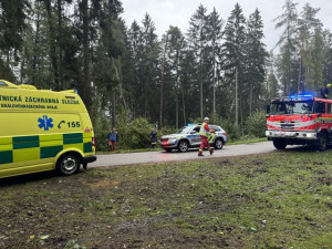 FOTO: Záchranáři cvičili v Prachovských skalách. Vyjíždělo se k třem desítkám zřícených turistů