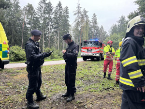 FOTO: Záchranáři cvičili v Prachovských skalách. Vyjíždělo se k třem desítkám zřícených turistů