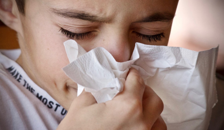 Chřipka nabírá na síle, hygienici očekávají, že sezona respiračních infekcí nastoupí do několika týdnů