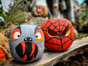 OBRAZEM: Safari Park ozdobilo několik stovek vydlabaných dýní. Odstartoval Týden duchů