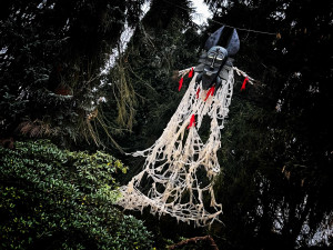 OBRAZEM: Safari Park ozdobilo několik stovek vydlabaných dýní. Odstartoval Týden duchů
