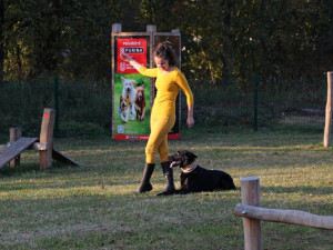 Dvůr Králové nad Labem otevřelo nové psí hřiště