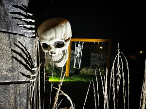 Halloweenským hitem jsou v kraji pavučiny, pavouci a lebky