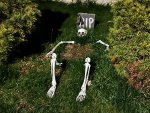 Halloweenským hitem jsou v kraji pavučiny, pavouci a lebky