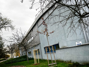 Zimní stadion v Hradci Králové čeká modernizace, sportovci dostanou důstojné zázemí