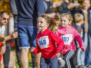 Sokolský běh republiky 2024 rozhýbal v ČR i zahraničí rekordních 10 000 běžců na 82 místech