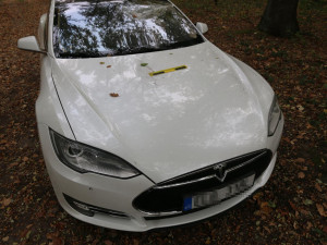 FOTO: Náhodný vandalismus nebo cílený útok? Poškozená Tesla na lesní cestě