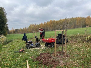 V Nové Pace obnovují lesopark v areálu kláštera. Zeleň dostane druhou šanci