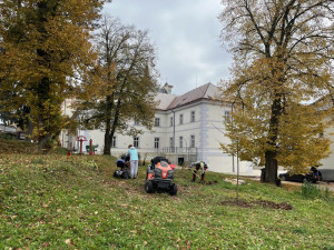 V Nové Pace obnovují lesopark v areálu kláštera. Zeleň dostane druhou šanci