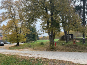 V Nové Pace obnovují lesopark v areálu kláštera. Zeleň dostane druhou šanci