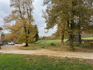 V Nové Pace obnovují lesopark v areálu kláštera. Zeleň dostane druhou šanci