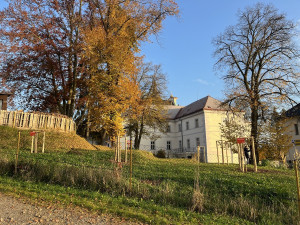 V Nové Pace obnovují lesopark v areálu kláštera. Zeleň dostane druhou šanci