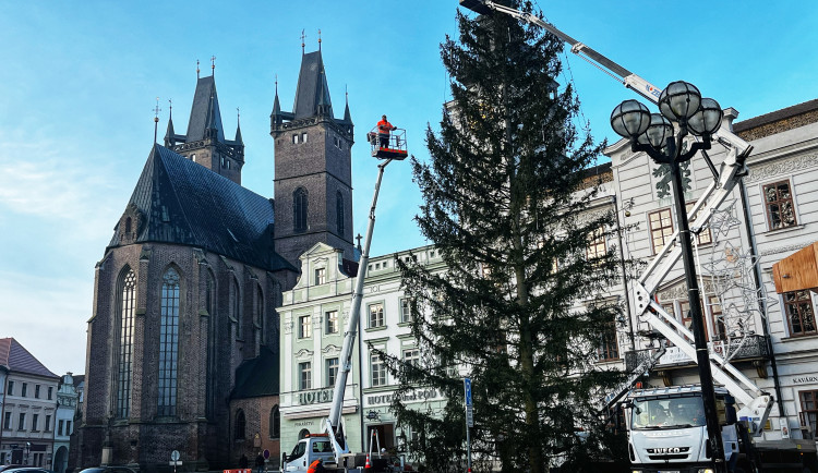 Vánoční strom dneska slavnostně rozsvítí Hradec, Dvůr Králové i Trutnov