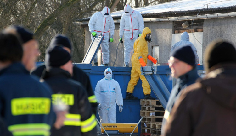 Na Hradecku je potvrzeno ohnisko ptačí chřipky v nekomerčním malochovu slepic